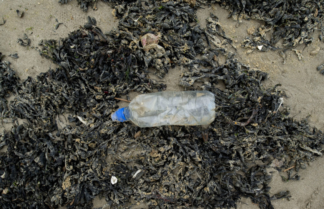 Tara Océan - Etudes des plastiques rejetés dans la mer Méditerranée par le Rhin, plage de La Haye.